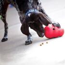 Игрушка-интерактивная KONG Dog toy Wobbler для собак, 19см