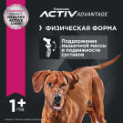 Корм в развес Eukanuba Adult Large Breed для собак крупных пород с высокой активностью, 1кг