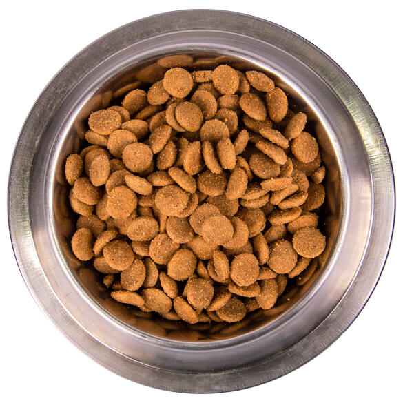 2,5кг Корм Monge Dog SP Adult Pork/Rice для взрослых собак всех пород со Свининой и рисом