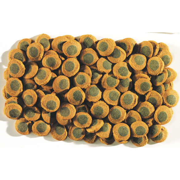 Корм в развес TETRA Pleco SpirulinaWafers пластинки для любых травоядных донных рыб, 1кг