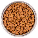 1,5кг Корм Monge Cat BWild Low Grain Kitten Goose низкозерновой для котят и беременных кошек с Гусем