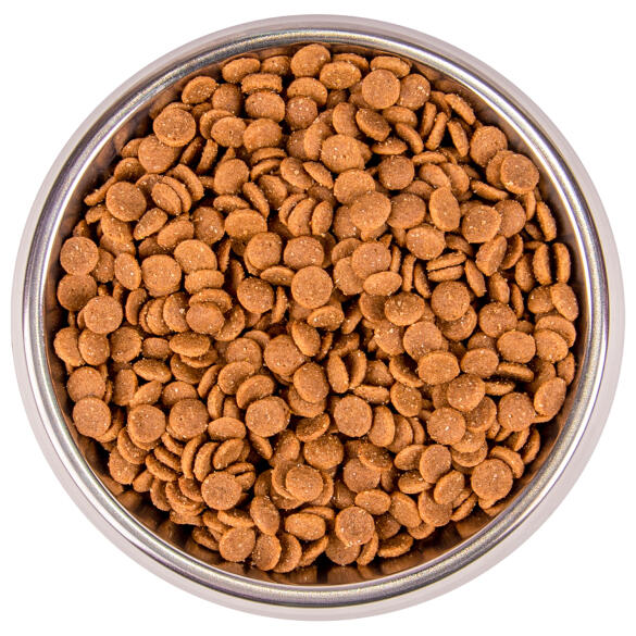1,5кг Корм Monge Cat BWild Low Grain Kitten Goose низкозерновой для котят и беременных кошек с Гусем