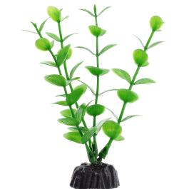 Растение пластиковое BARBUS 10см Бакопа Зеленая